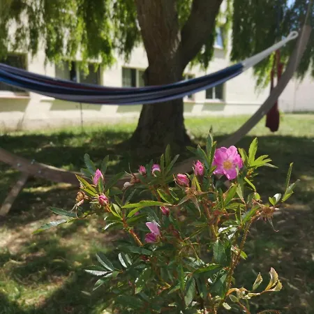 Wildrosenhof Alt Sammit Vakantieboerderij Krakow am See