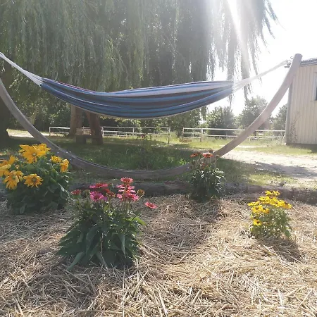 Vakantieboerderij Wildrosenhof Alt Sammit