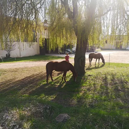 Vakantieboerderij Wildrosenhof Alt Sammit *