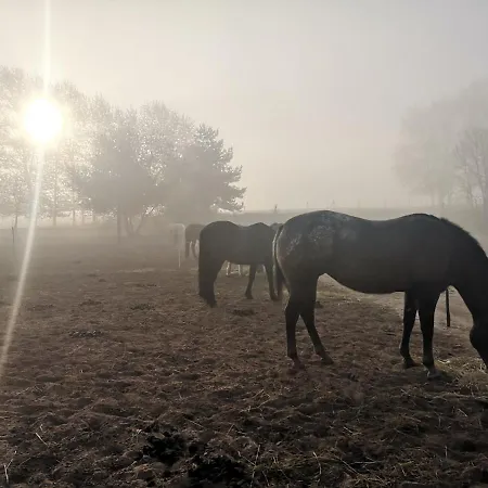 Wildrosenhof Alt Sammit Vakantieboerderij Krakow am See