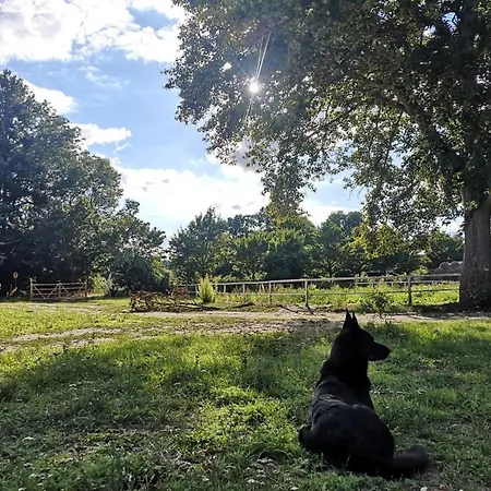Wildrosenhof Alt Sammit Vakantieboerderij Krakow am See