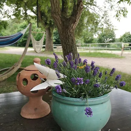 Wildrosenhof Alt Sammit *